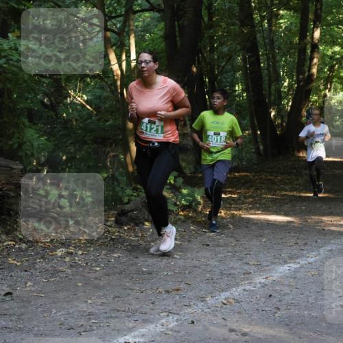 28.09.2025 - 33. Volkslauf durch das schöne Alstertal Strokosch-Dieckow http://msf.ph/oto/8968379 28.09.2025 10:57:16 Laufen 4121, 4018, 4095 meine-sportfotos.de