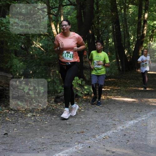 28.09.2025 - 33. Volkslauf durch das schöne Alstertal Strokosch-Dieckow http://msf.ph/oto/8968380 28.09.2025 10:57:16 Laufen 4121, 4095 meine-sportfotos.de
