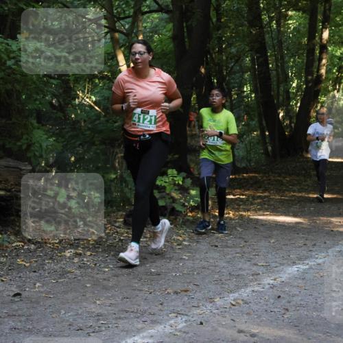 28.09.2025 - 33. Volkslauf durch das schöne Alstertal Strokosch-Dieckow http://msf.ph/oto/8968381 28.09.2025 10:57:16 Laufen 4121 meine-sportfotos.de