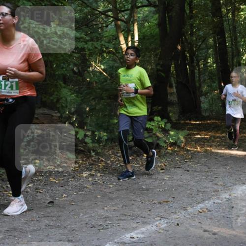 28.09.2025 - 33. Volkslauf durch das schöne Alstertal Strokosch-Dieckow http://msf.ph/oto/8968382 28.09.2025 10:57:17 Laufen 4121, 4095 meine-sportfotos.de