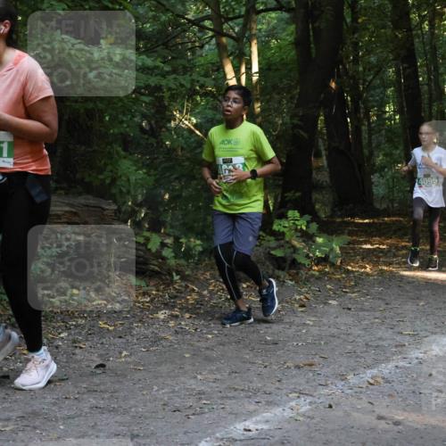 28.09.2025 - 33. Volkslauf durch das schöne Alstertal Strokosch-Dieckow http://msf.ph/oto/8968383 28.09.2025 10:57:17 Laufen 4121, 4095 meine-sportfotos.de