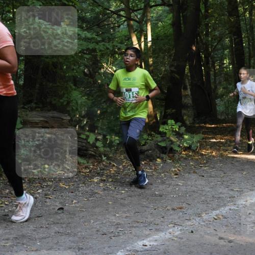 28.09.2025 - 33. Volkslauf durch das schöne Alstertal Strokosch-Dieckow http://msf.ph/oto/8968384 28.09.2025 10:57:17 Laufen 4121, 4018, 4095 meine-sportfotos.de