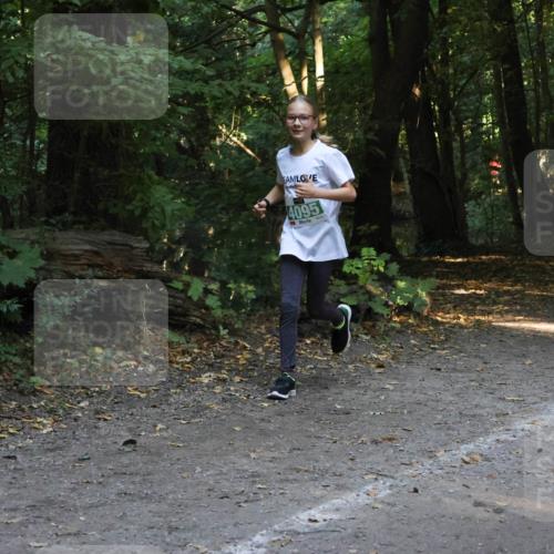 28.09.2025 - 33. Volkslauf durch das schöne Alstertal Strokosch-Dieckow http://msf.ph/oto/8968385 28.09.2025 10:57:19 Laufen 4095 meine-sportfotos.de