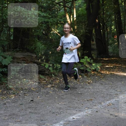 28.09.2025 - 33. Volkslauf durch das schöne Alstertal Strokosch-Dieckow http://msf.ph/oto/8968386 28.09.2025 10:57:19 Laufen 409 meine-sportfotos.de