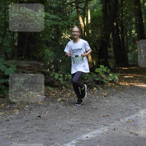 28.09.2025 - 33. Volkslauf durch das schöne Alstertal Strokosch-Dieckow http://msf.ph/oto/8968387 28.09.2025 10:57:19 Laufen 4095 meine-sportfotos.de