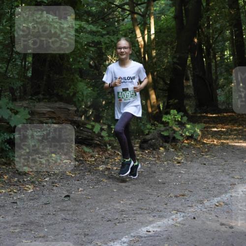 28.09.2025 - 33. Volkslauf durch das schöne Alstertal Strokosch-Dieckow http://msf.ph/oto/8968388 28.09.2025 10:57:19 Laufen 4095 meine-sportfotos.de