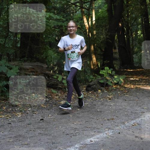 28.09.2025 - 33. Volkslauf durch das schöne Alstertal Strokosch-Dieckow http://msf.ph/oto/8968389 28.09.2025 10:57:19 Laufen 4095 meine-sportfotos.de