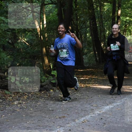28.09.2025 - 33. Volkslauf durch das schöne Alstertal Strokosch-Dieckow http://msf.ph/oto/8968397 28.09.2025 10:57:25 Laufen 4102, 4101 meine-sportfotos.de