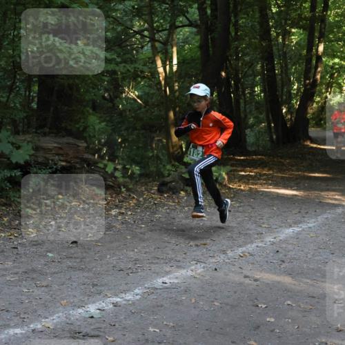 28.09.2025 - 33. Volkslauf durch das schöne Alstertal Strokosch-Dieckow http://msf.ph/oto/8968402 28.09.2025 10:57:33 Laufen  meine-sportfotos.de
