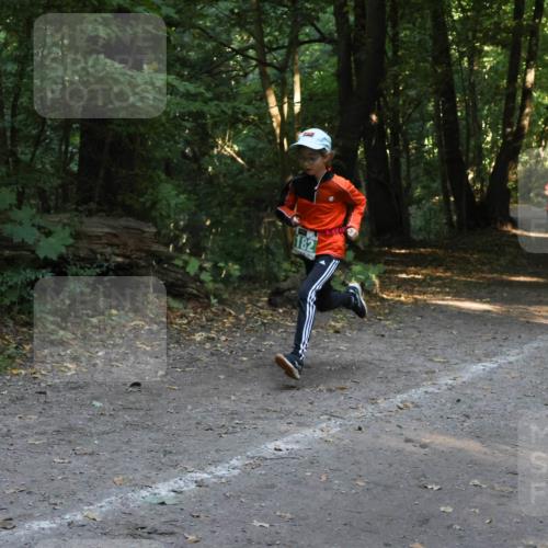 28.09.2025 - 33. Volkslauf durch das schöne Alstertal Strokosch-Dieckow http://msf.ph/oto/8968403 28.09.2025 10:57:33 Laufen 182 meine-sportfotos.de