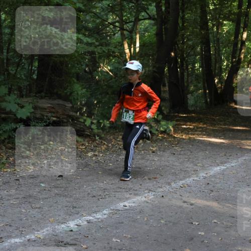 28.09.2025 - 33. Volkslauf durch das schöne Alstertal Strokosch-Dieckow http://msf.ph/oto/8968404 28.09.2025 10:57:33 Laufen 182 meine-sportfotos.de