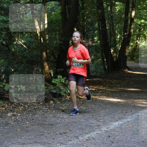 28.09.2025 - 33. Volkslauf durch das schöne Alstertal Strokosch-Dieckow http://msf.ph/oto/8968405 28.09.2025 10:57:37 Laufen 8100, 491 meine-sportfotos.de