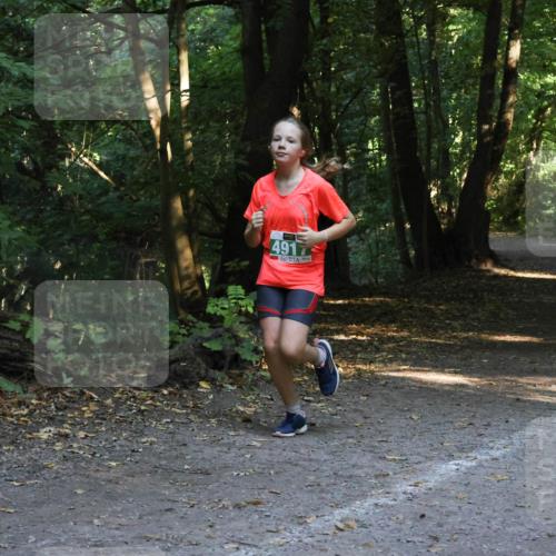 28.09.2025 - 33. Volkslauf durch das schöne Alstertal Strokosch-Dieckow http://msf.ph/oto/8968406 28.09.2025 10:57:37 Laufen 4917 meine-sportfotos.de