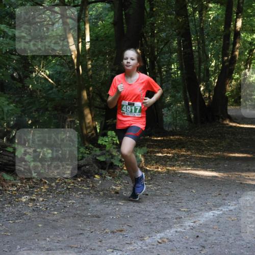 28.09.2025 - 33. Volkslauf durch das schöne Alstertal Strokosch-Dieckow http://msf.ph/oto/8968407 28.09.2025 10:57:37 Laufen 4917 meine-sportfotos.de