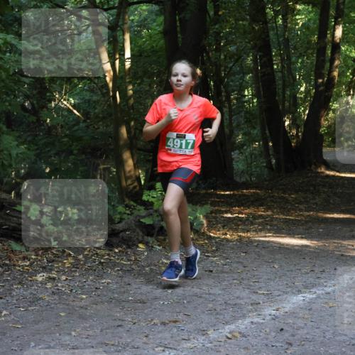 28.09.2025 - 33. Volkslauf durch das schöne Alstertal Strokosch-Dieckow http://msf.ph/oto/8968408 28.09.2025 10:57:37 Laufen 4917 meine-sportfotos.de