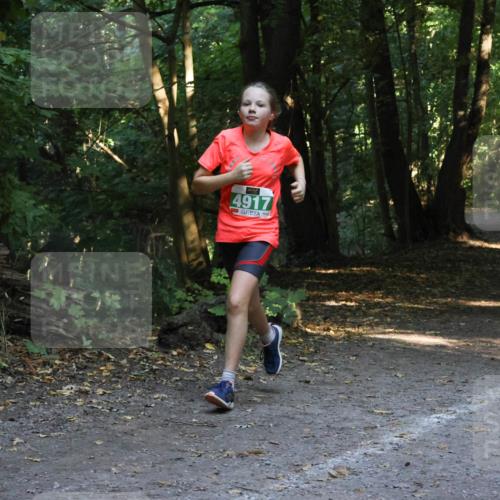 28.09.2025 - 33. Volkslauf durch das schöne Alstertal Strokosch-Dieckow http://msf.ph/oto/8968409 28.09.2025 10:57:37 Laufen 4917 meine-sportfotos.de