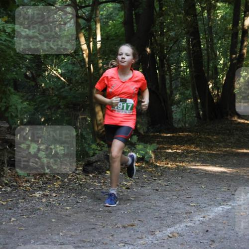 28.09.2025 - 33. Volkslauf durch das schöne Alstertal Strokosch-Dieckow http://msf.ph/oto/8968410 28.09.2025 10:57:37 Laufen 917 meine-sportfotos.de