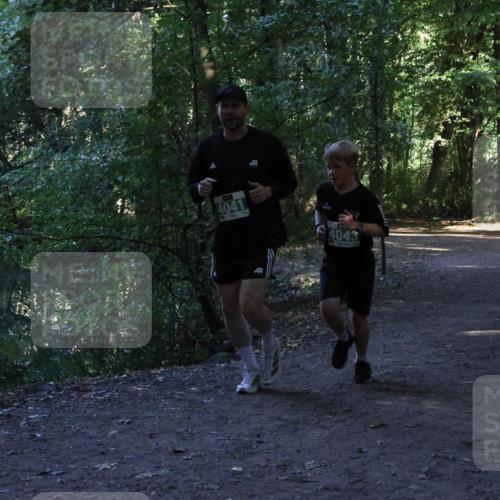 28.09.2025 - 33. Volkslauf durch das schöne Alstertal Strokosch-Dieckow http://msf.ph/oto/8968414 28.09.2025 10:58:38 Laufen 4041, 4043 meine-sportfotos.de