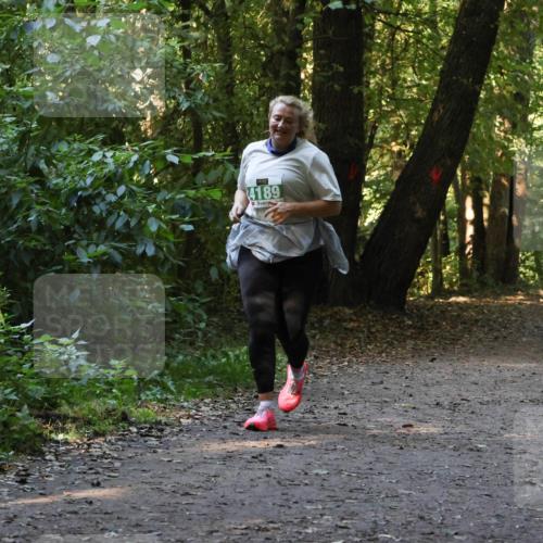 28.09.2025 - 33. Volkslauf durch das schöne Alstertal Strokosch-Dieckow http://msf.ph/oto/8968418 28.09.2025 10:59:37 Laufen 4189 meine-sportfotos.de