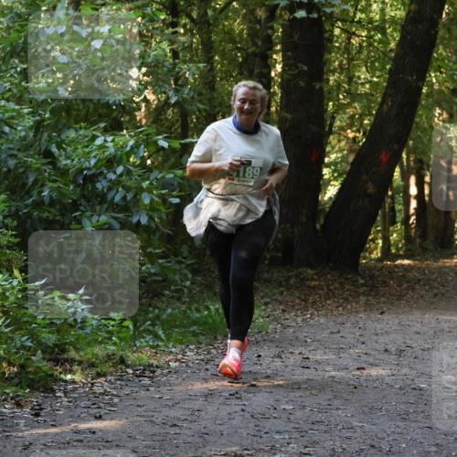 28.09.2025 - 33. Volkslauf durch das schöne Alstertal Strokosch-Dieckow http://msf.ph/oto/8968422 28.09.2025 10:59:37 Laufen 189 meine-sportfotos.de