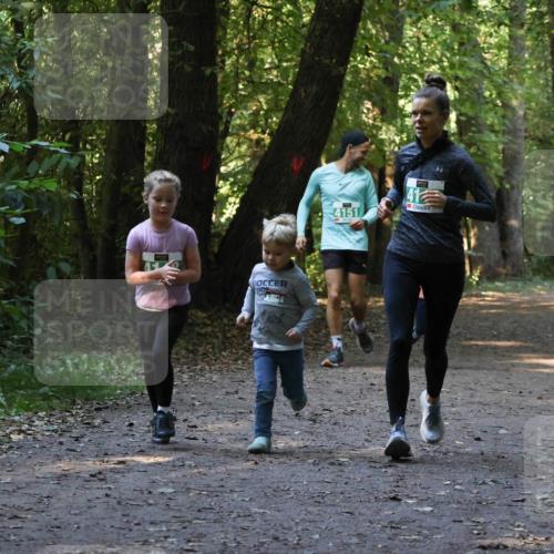 28.09.2025 - 33. Volkslauf durch das schöne Alstertal Strokosch-Dieckow http://msf.ph/oto/8968428 28.09.2025 11:00:26 Laufen 4151, 41 meine-sportfotos.de