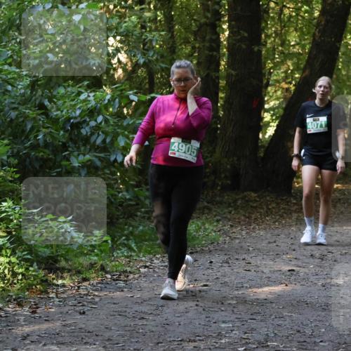 28.09.2025 - 33. Volkslauf durch das schöne Alstertal Strokosch-Dieckow http://msf.ph/oto/8968440 28.09.2025 11:00:57 Laufen 4905, 3, 4071 meine-sportfotos.de