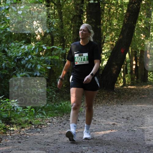 28.09.2025 - 33. Volkslauf durch das schöne Alstertal Strokosch-Dieckow http://msf.ph/oto/8968443 28.09.2025 11:01:01 Laufen 4071 meine-sportfotos.de
