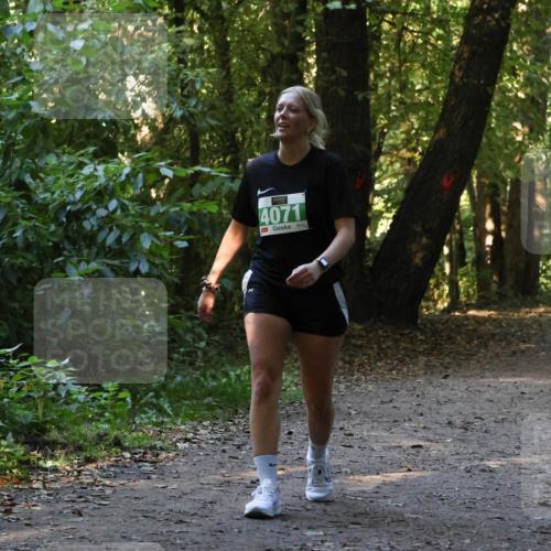 28.09.2025 - 33. Volkslauf durch das schöne Alstertal Strokosch-Dieckow http://msf.ph/oto/8968445 28.09.2025 11:01:01 Laufen 4071 meine-sportfotos.de