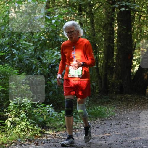 28.09.2025 - 33. Volkslauf durch das schöne Alstertal Strokosch-Dieckow http://msf.ph/oto/8968446 28.09.2025 11:01:24 Laufen 4011 meine-sportfotos.de