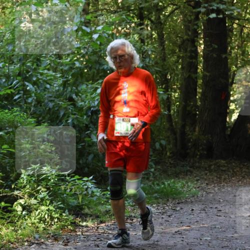 28.09.2025 - 33. Volkslauf durch das schöne Alstertal Strokosch-Dieckow http://msf.ph/oto/8968447 28.09.2025 11:01:24 Laufen 401 meine-sportfotos.de