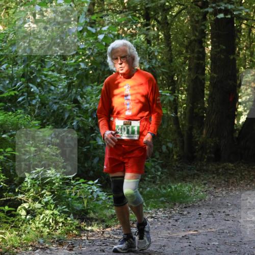 28.09.2025 - 33. Volkslauf durch das schöne Alstertal Strokosch-Dieckow http://msf.ph/oto/8968448 28.09.2025 11:01:24 Laufen 4011 meine-sportfotos.de