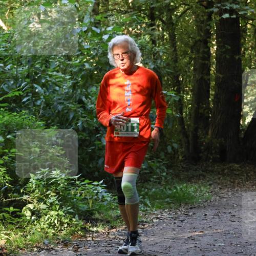 28.09.2025 - 33. Volkslauf durch das schöne Alstertal Strokosch-Dieckow http://msf.ph/oto/8968449 28.09.2025 11:01:24 Laufen  meine-sportfotos.de
