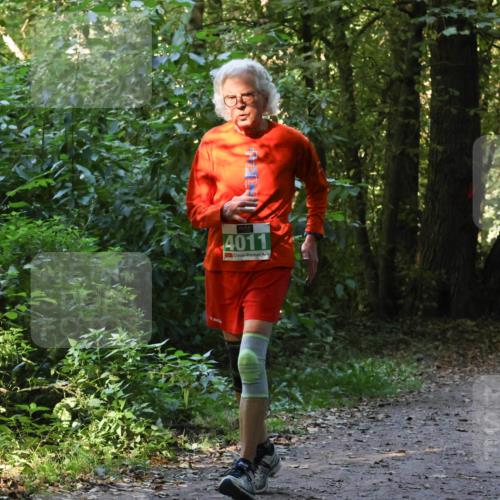 28.09.2025 - 33. Volkslauf durch das schöne Alstertal Strokosch-Dieckow http://msf.ph/oto/8968450 28.09.2025 11:01:24 Laufen 4011 meine-sportfotos.de