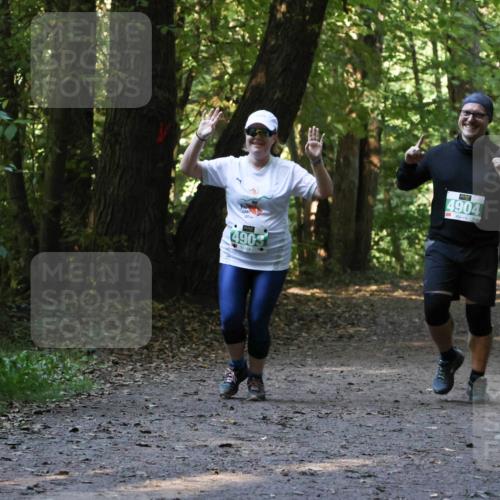28.09.2025 - 33. Volkslauf durch das schöne Alstertal Strokosch-Dieckow http://msf.ph/oto/8968455 28.09.2025 11:01:36 Laufen 4903, 4904 meine-sportfotos.de