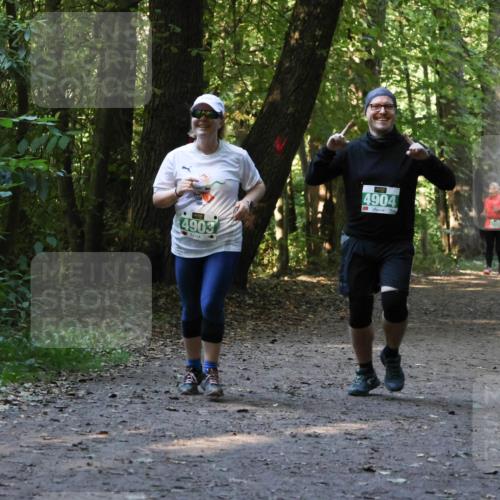 28.09.2025 - 33. Volkslauf durch das schöne Alstertal Strokosch-Dieckow http://msf.ph/oto/8968457 28.09.2025 11:01:37 Laufen 4903, 4904, 3 meine-sportfotos.de