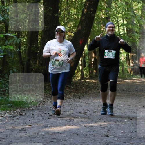 28.09.2025 - 33. Volkslauf durch das schöne Alstertal Strokosch-Dieckow http://msf.ph/oto/8968458 28.09.2025 11:01:37 Laufen 4903, 4904 meine-sportfotos.de