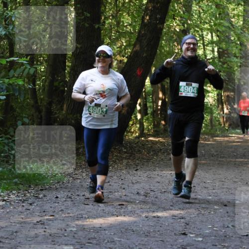 28.09.2025 - 33. Volkslauf durch das schöne Alstertal Strokosch-Dieckow http://msf.ph/oto/8968459 28.09.2025 11:01:37 Laufen 4903, 4904 meine-sportfotos.de