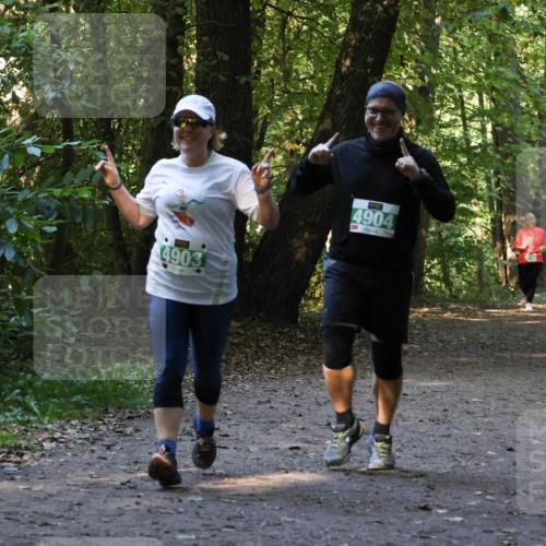 28.09.2025 - 33. Volkslauf durch das schöne Alstertal Strokosch-Dieckow http://msf.ph/oto/8968465 28.09.2025 11:01:38 Laufen 4903, 4904 meine-sportfotos.de
