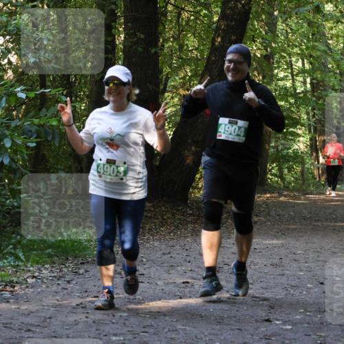 28.09.2025 - 33. Volkslauf durch das schöne Alstertal Strokosch-Dieckow http://msf.ph/oto/8968466 28.09.2025 11:01:38 Laufen 4903, 4904 meine-sportfotos.de