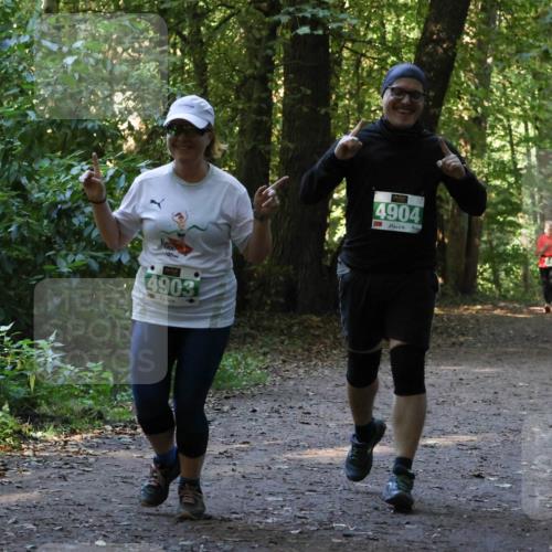 28.09.2025 - 33. Volkslauf durch das schöne Alstertal Strokosch-Dieckow http://msf.ph/oto/8968469 28.09.2025 11:01:39 Laufen 4903, 4904 meine-sportfotos.de