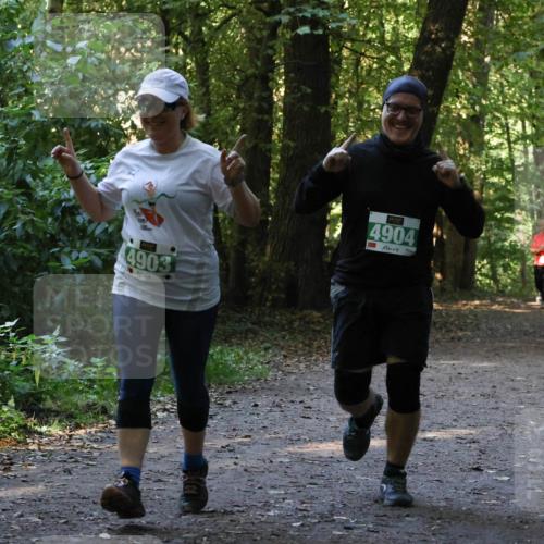 28.09.2025 - 33. Volkslauf durch das schöne Alstertal Strokosch-Dieckow http://msf.ph/oto/8968471 28.09.2025 11:01:40 Laufen 4903, 4904 meine-sportfotos.de