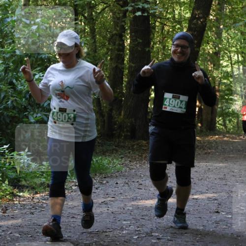 28.09.2025 - 33. Volkslauf durch das schöne Alstertal Strokosch-Dieckow http://msf.ph/oto/8968472 28.09.2025 11:01:40 Laufen 4903, 4904 meine-sportfotos.de