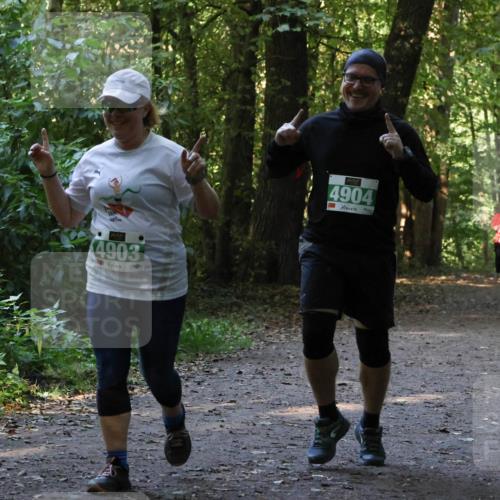 28.09.2025 - 33. Volkslauf durch das schöne Alstertal Strokosch-Dieckow http://msf.ph/oto/8968473 28.09.2025 11:01:40 Laufen 4903, 4904 meine-sportfotos.de