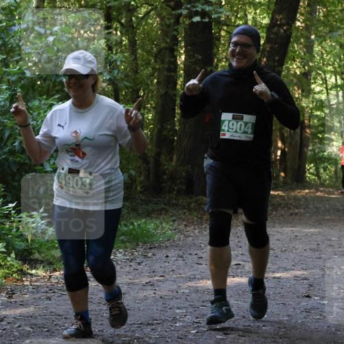 28.09.2025 - 33. Volkslauf durch das schöne Alstertal Strokosch-Dieckow http://msf.ph/oto/8968474 28.09.2025 11:01:40 Laufen 4903, 4904 meine-sportfotos.de