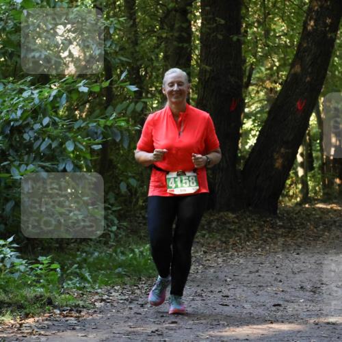 28.09.2025 - 33. Volkslauf durch das schöne Alstertal Strokosch-Dieckow http://msf.ph/oto/8968476 28.09.2025 11:01:52 Laufen 4158 meine-sportfotos.de