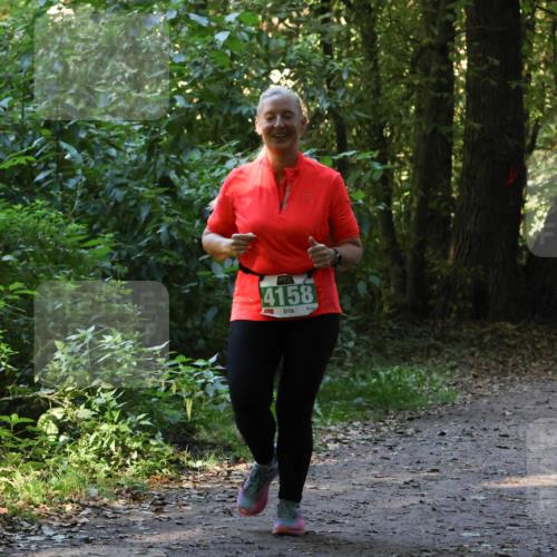 28.09.2025 - 33. Volkslauf durch das schöne Alstertal Strokosch-Dieckow http://msf.ph/oto/8968477 28.09.2025 11:01:54 Laufen 4158 meine-sportfotos.de