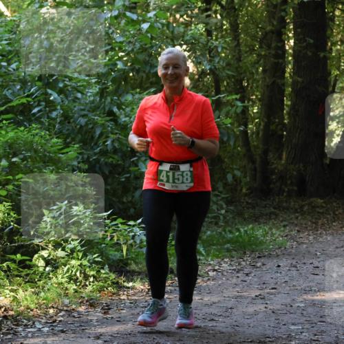 28.09.2025 - 33. Volkslauf durch das schöne Alstertal Strokosch-Dieckow http://msf.ph/oto/8968478 28.09.2025 11:01:54 Laufen 4158 meine-sportfotos.de