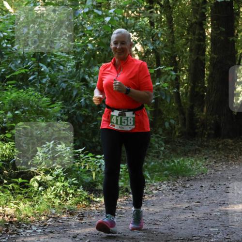 28.09.2025 - 33. Volkslauf durch das schöne Alstertal Strokosch-Dieckow http://msf.ph/oto/8968479 28.09.2025 11:01:54 Laufen 4158 meine-sportfotos.de