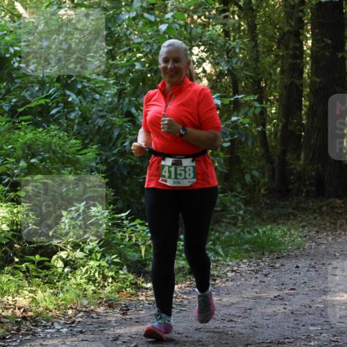 28.09.2025 - 33. Volkslauf durch das schöne Alstertal Strokosch-Dieckow http://msf.ph/oto/8968480 28.09.2025 11:01:54 Laufen 4158 meine-sportfotos.de