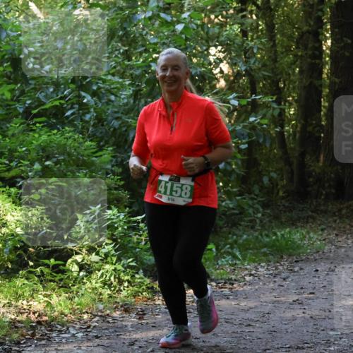 28.09.2025 - 33. Volkslauf durch das schöne Alstertal Strokosch-Dieckow http://msf.ph/oto/8968482 28.09.2025 11:01:54 Laufen 4158 meine-sportfotos.de